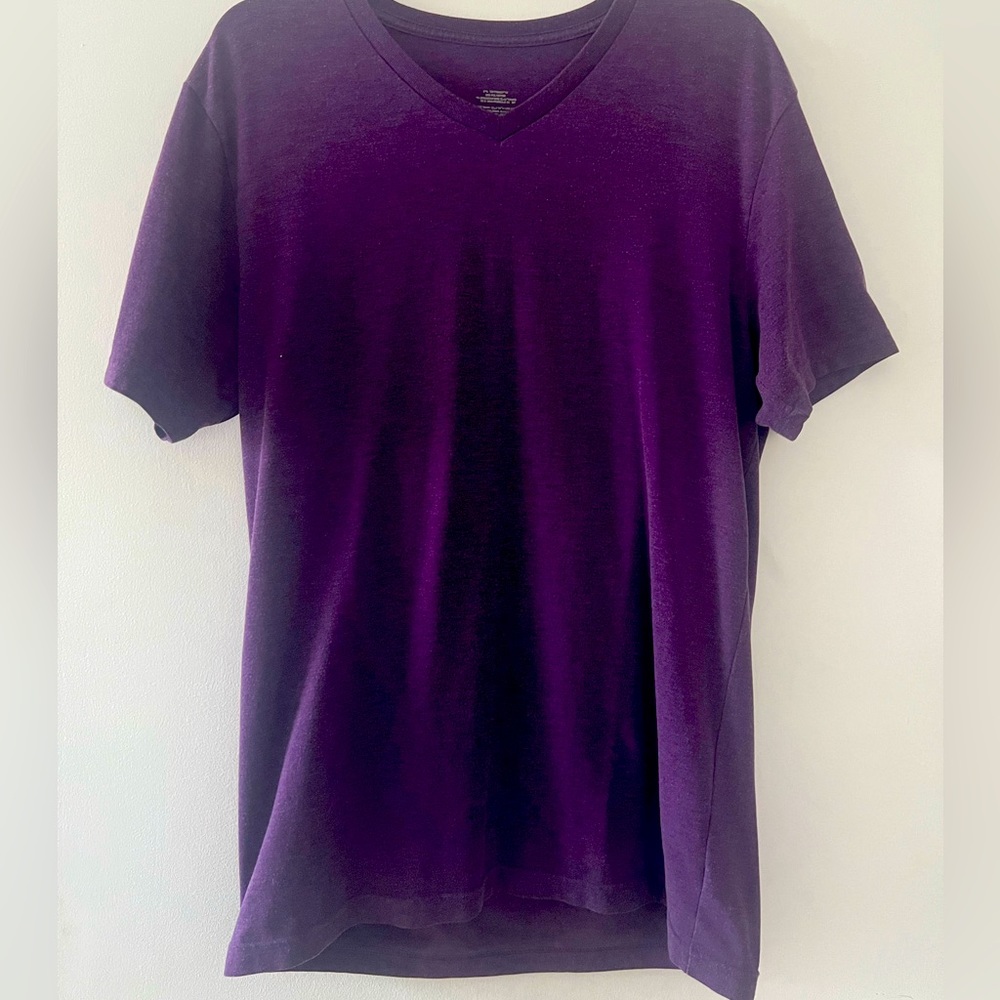 Mens Express Shirt - size L (great condition)